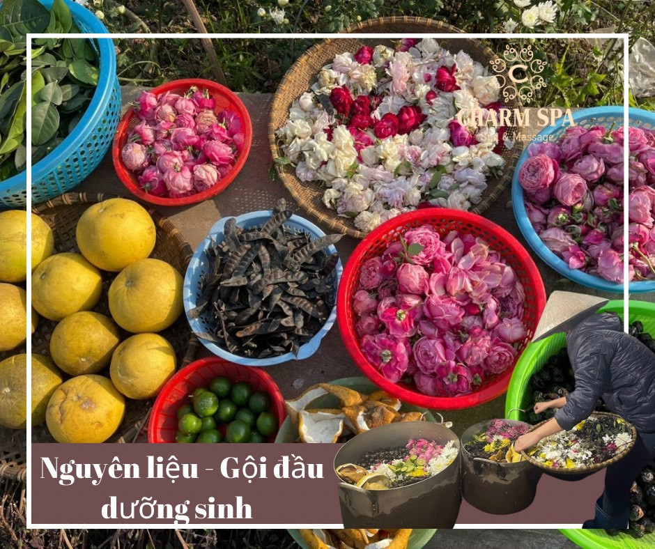 Các nguyên liệu tự nhiên thường dùng trong gội đầu dưỡng sinh