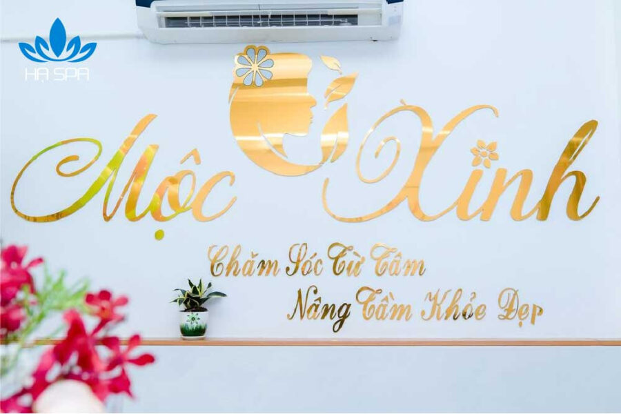 Khám phá không gian xanh mát tại Mộc Xinh Spa