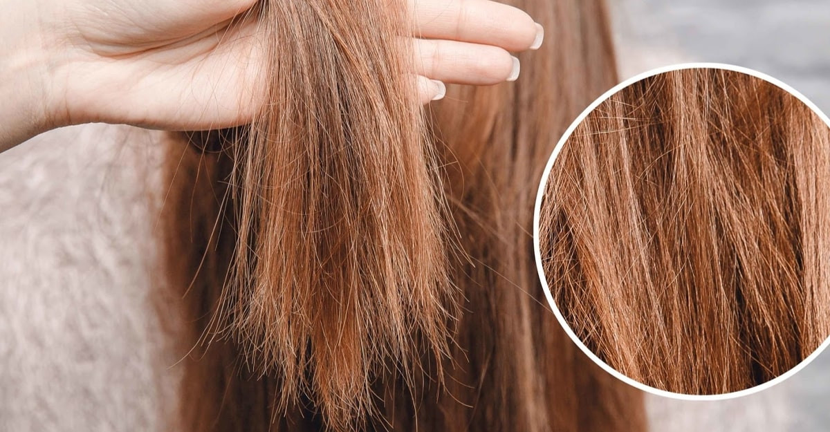 Mô tả sợi tóc bị chẻ ngọn ở phần đuôi