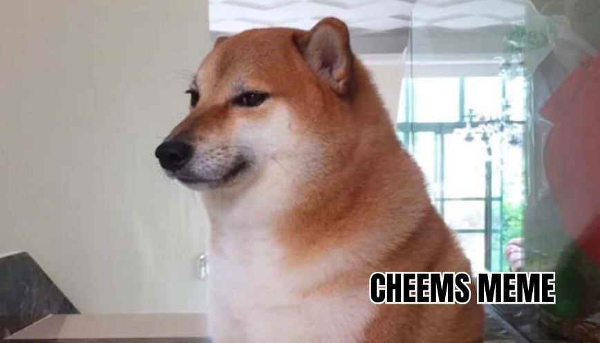 Cheems meme