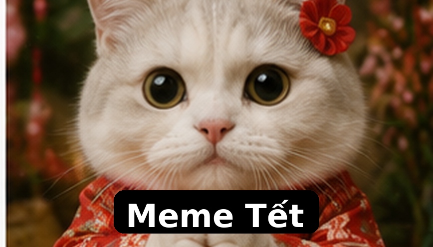 Meme Tết