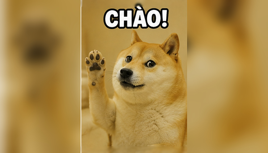 Tổng hợp 88+ meme chào thân thiện, vui nhộn 1