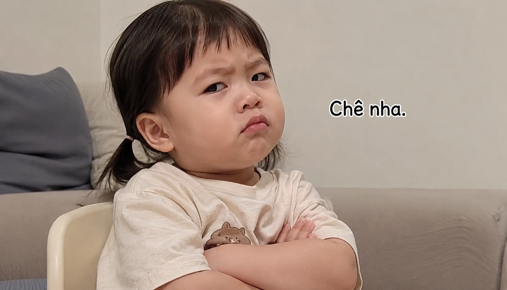 Mẫu meme chê 2