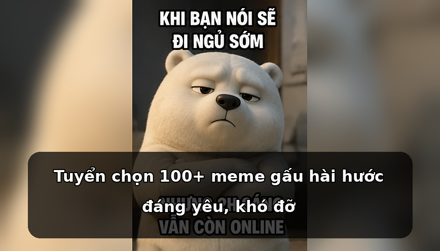 Tuyển chọn 100+ meme gấu hài hước đáng yêu, khó đỡ