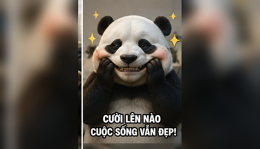 Mẫu meme gấu hài hước 6