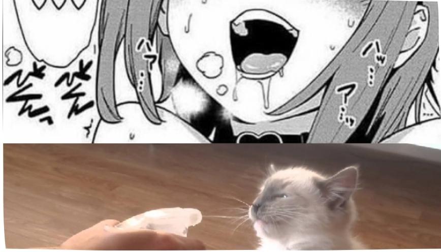 Tổng hợp 69+ meme hentai hài hước theo phong cách Internet