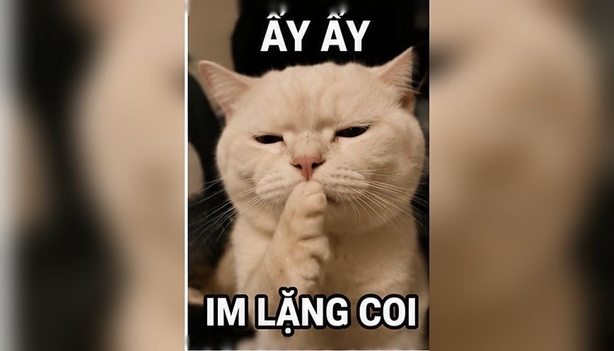 Mẫu meme im lặng 2