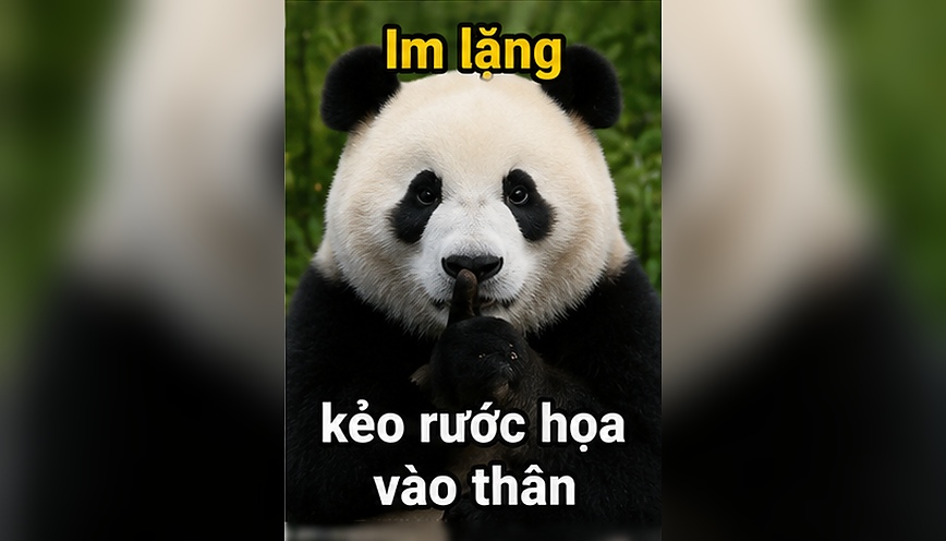 Mẫu meme im lặng 6