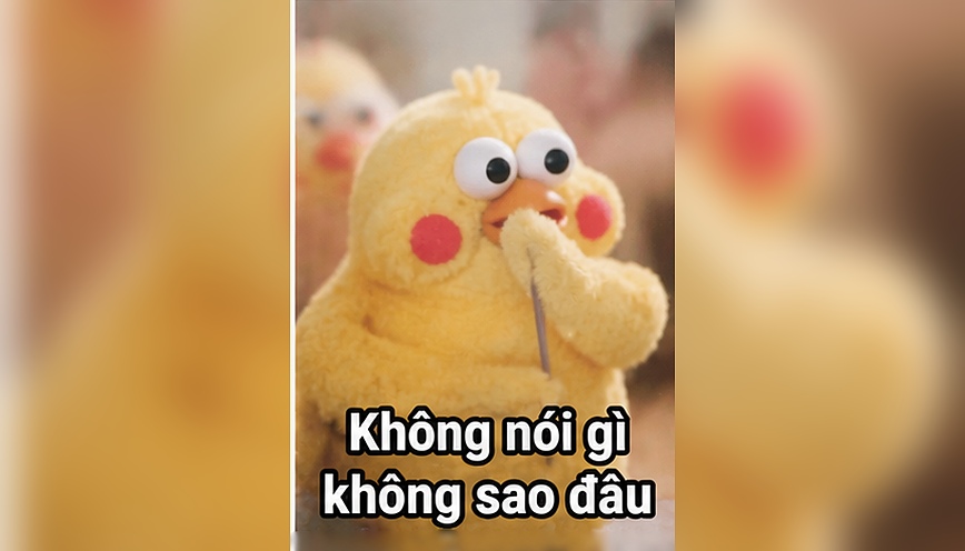 Mẫu meme im lặng 7