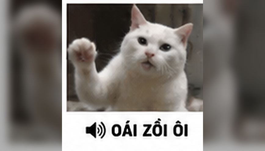 Tổng hợp 99+ meme sound vui nhộn, dễ nhận biết 1