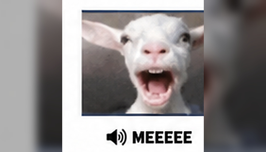 Tổng hợp 99+ meme sound vui nhộn, dễ nhận biết 5