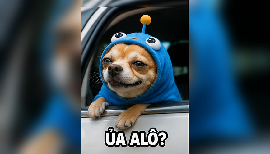 Những lưu ý khi tải và dùng meme tấu hài trên mạng xã hội
