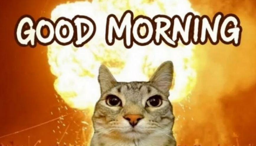 Cách chọn meme chào buổi sáng tạo cảm giác dễ chịu