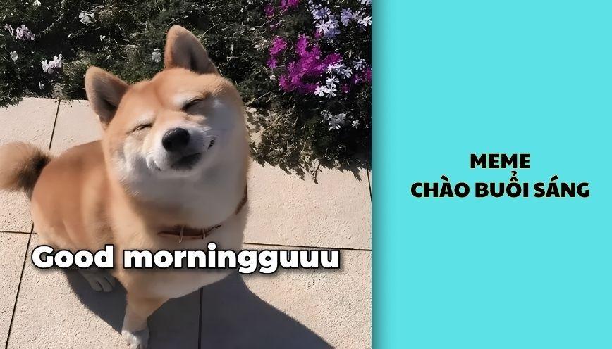 Meme chào buổi sáng