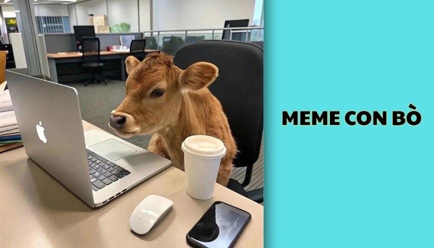 Meme con bò