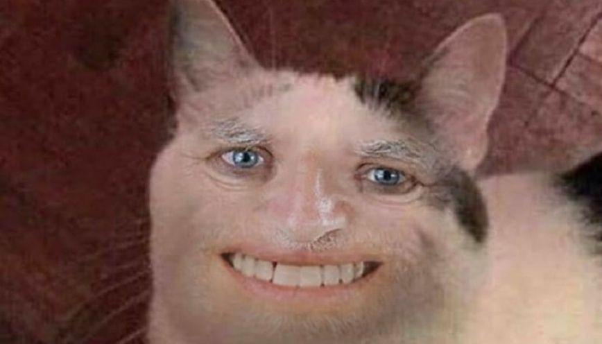 100+ meme động vật hài hước, đáng yêu 1