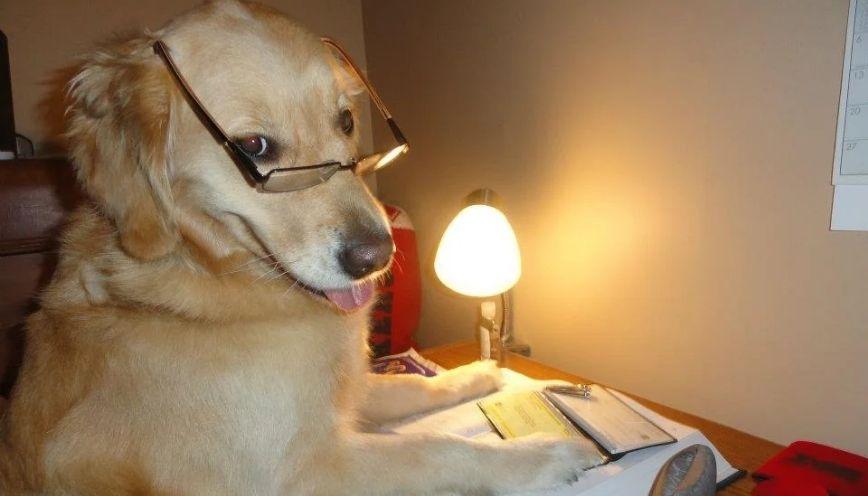Tổng hợp 99+ meme ghi chép học hỏi cực chăm chú
