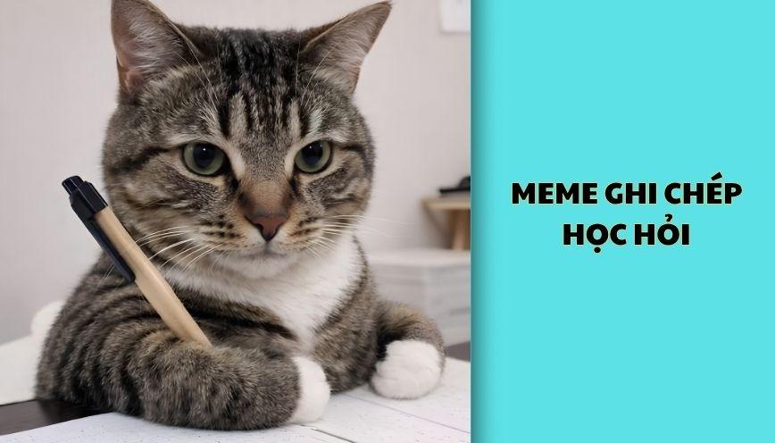 Meme ghi chép học hỏi