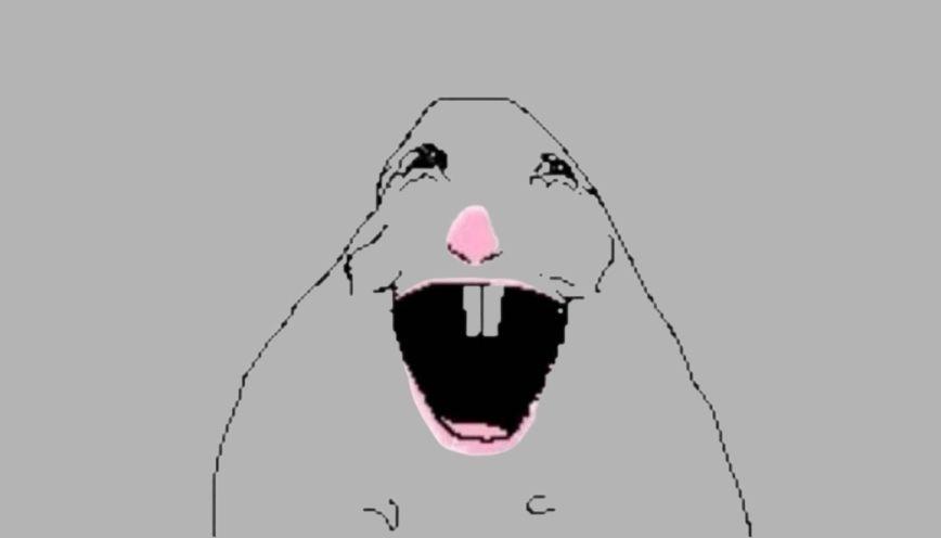 Mẫu meme hamster 5