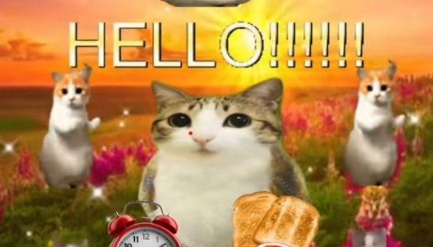Một vài trường hợp phù hợp gửi mẫu meme hello