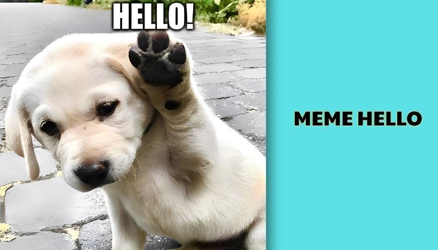 Meme hello
