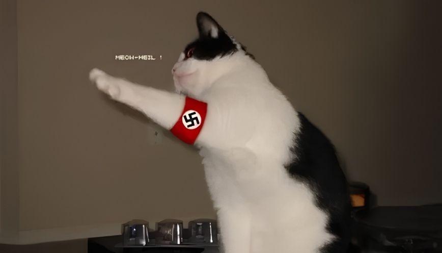 Tổng hợp 69+ meme Hitler theo hướng châm biếm lịch sử 4