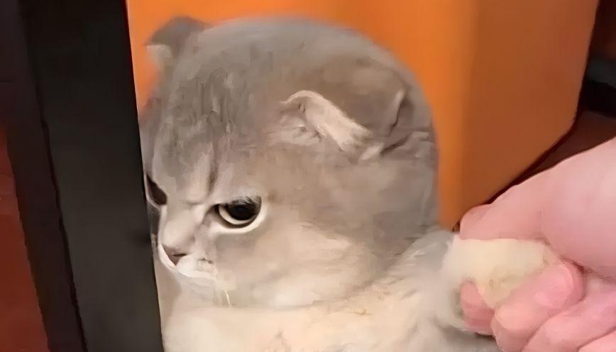 Sưu tầm 89+ meme lườm nhìn là “muốn đấm” 3