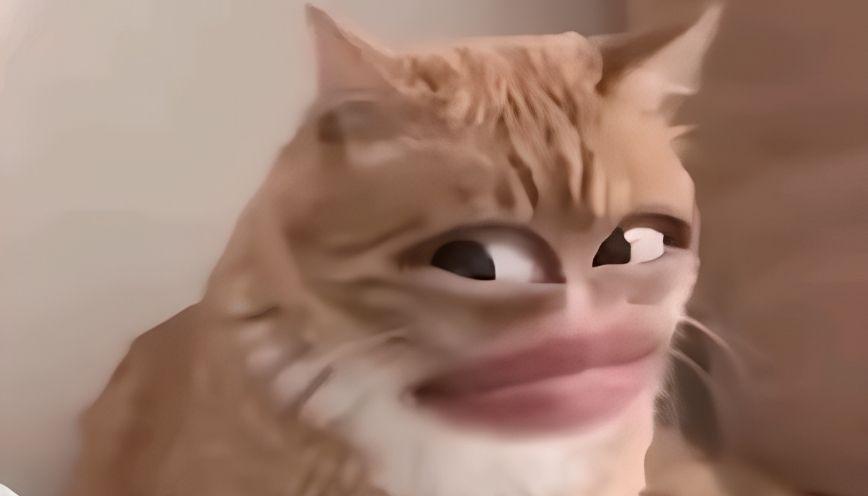 Sưu tầm 89+ meme lườm nhìn là “muốn đấm” 5
