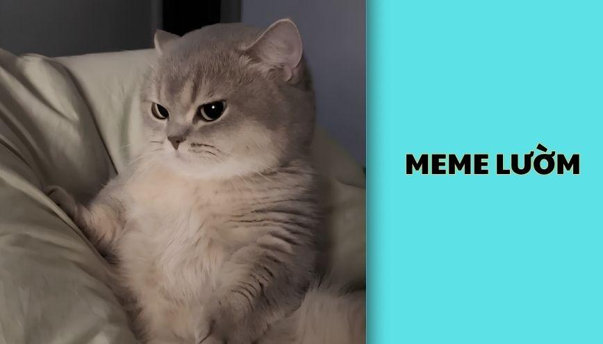 Meme lườm