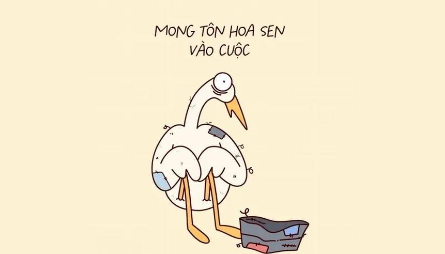 Mẫu meme nghèo 2