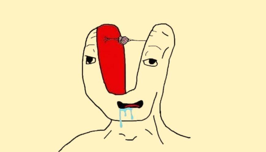 Những lý do khiến giới trẻ chú ý đến meme thiểu năng