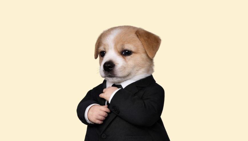 Bộ sưu tập 88+ meme tổng tài hài hước, khí chất 1