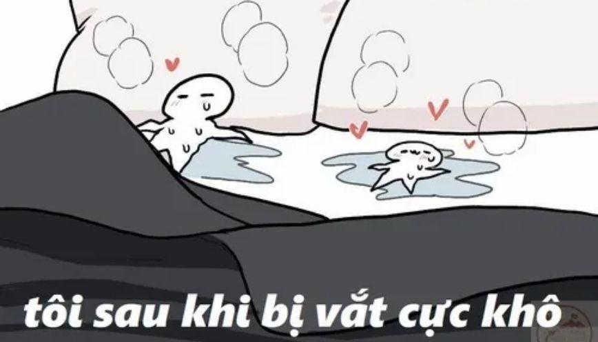 Sưu tầm 79+ meme vắt cực khô hài hước, khó đỡ 6