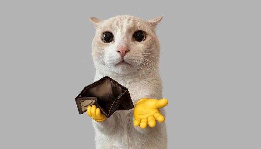 Mẫu meme xin tiền 4