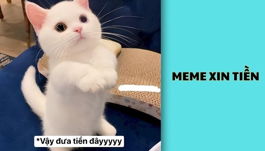 ​Meme xin tiền
